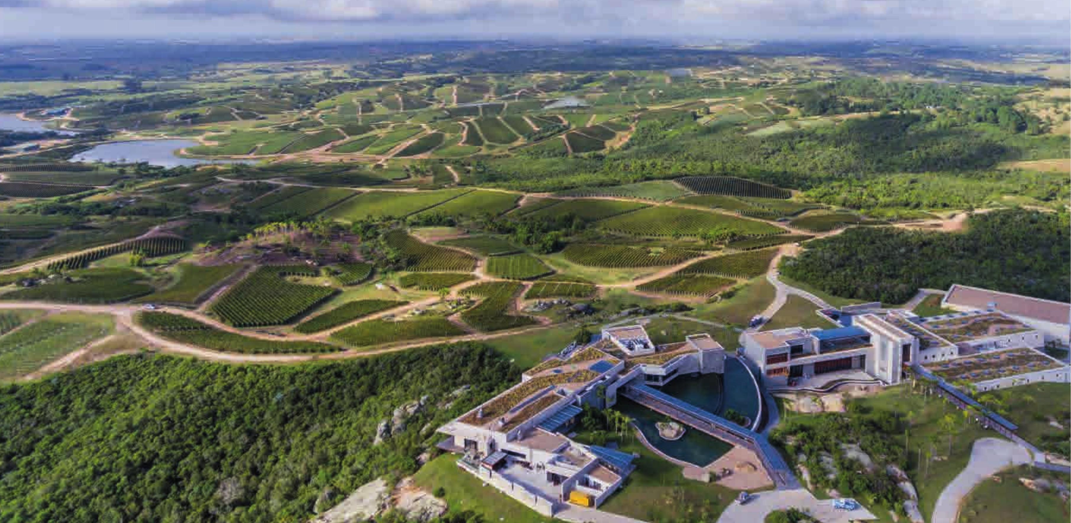 Vista aérea de Bodega Garzón